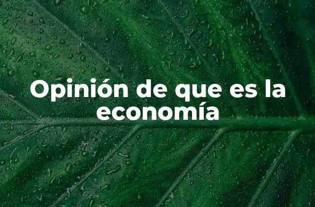 Opinión de que es la Economía