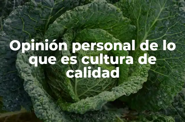 Opinión Personal de Lo que es Cultura de Calidad