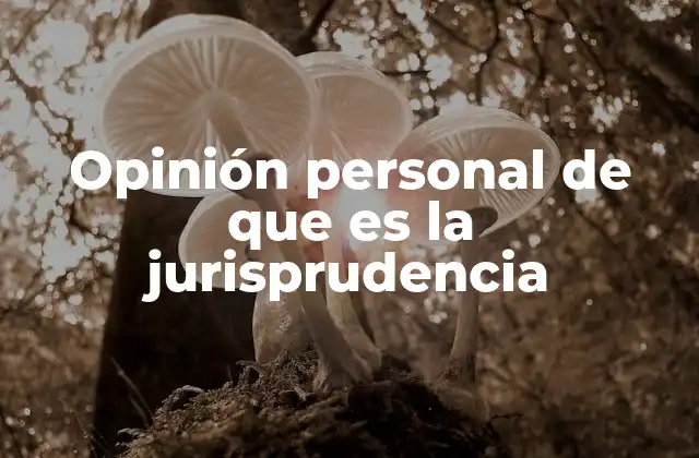 Opinión Personal de que es la Jurisprudencia 2 El papel de la jurisprudencia en la interpretación del derecho