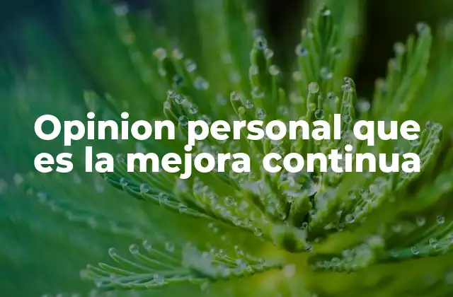 Opinion Personal que es la Mejora Continua