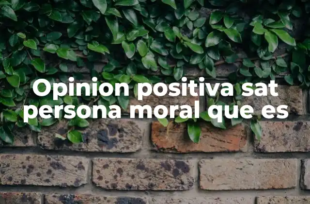 Opinion Positiva Sat Persona Moral que es