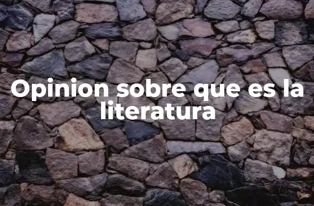Opinion sobre que es la Literatura