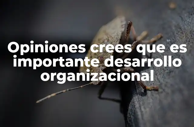 Opiniones Crees que es Importante Desarrollo Organizacional