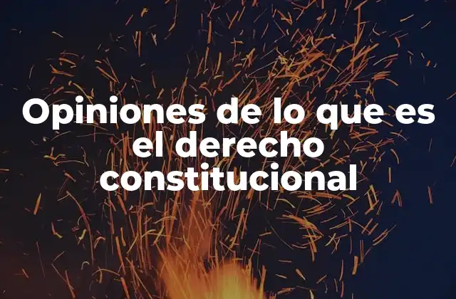 Opiniones de Lo que es el Derecho Constitucional