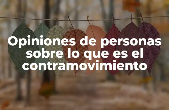 Opiniones de Personas sobre Lo que es el Contramovimiento