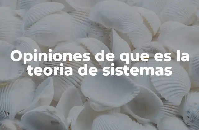 El enfoque integral de la teoría de sistemas