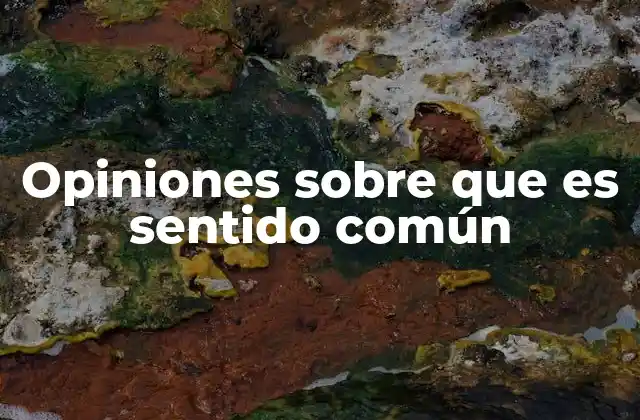 Opiniones sobre que es Sentido Común