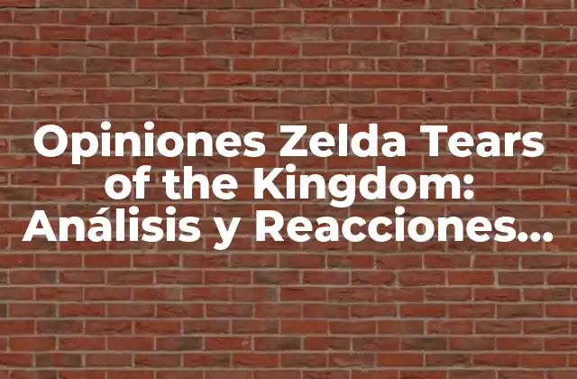 Opiniones Zelda Tears Of The Kingdom: Análisis y Reacciones de los Jugadores