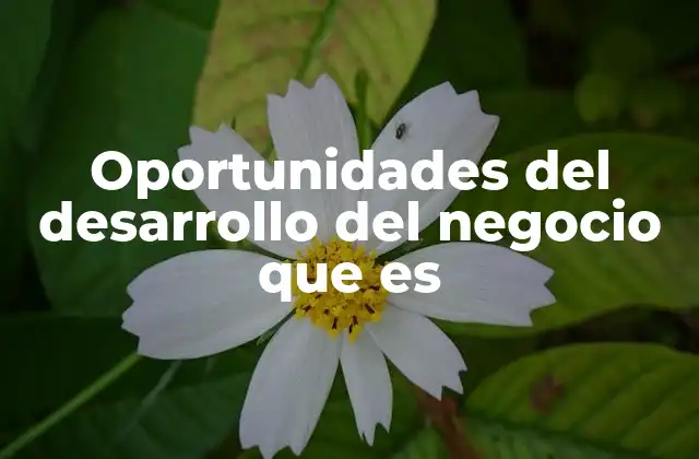 Oportunidades Del Desarrollo Del Negocio que es
