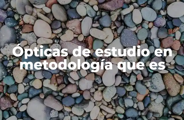 Ópticas de Estudio en Metodología que es