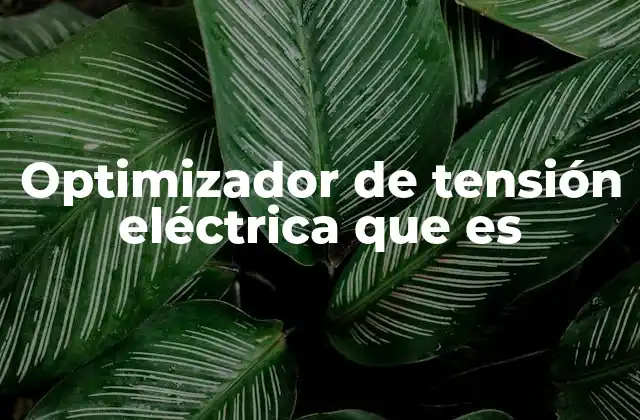 Optimizador de Tensión Eléctrica que es 2 Funciones y características de los dispositivos que optimizan el voltaje