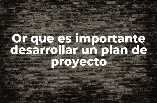 Or que es Importante Desarrollar un Plan de Proyecto