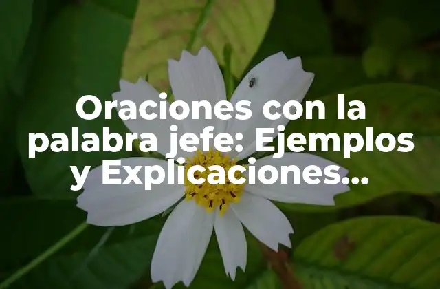 Oraciones con la Palabra Jefe: Ejemplos y Explicaciones Detalladas
