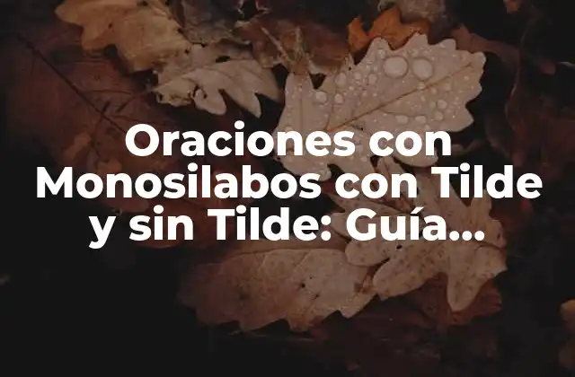 Oraciones con Monosilabos con Tilde y sin Tilde: Guía Completa para Maestros y Estudiantes