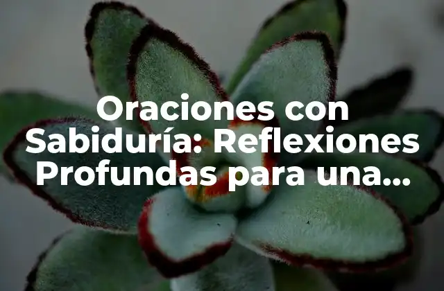 Oraciones con Sabiduría: Reflexiones Profundas para una Vida Mejor