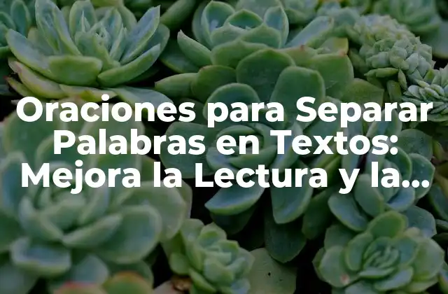Oraciones para Separar Palabras en Textos: Mejora la Lectura y la Comprensión