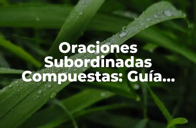Oraciones Subordinadas Compuestas: Guía Completa y Detallada