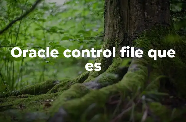 Oracle Control File que es