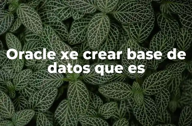 Cómo Oracle XE facilita el desarrollo de bases de datos para proyectos pequeños