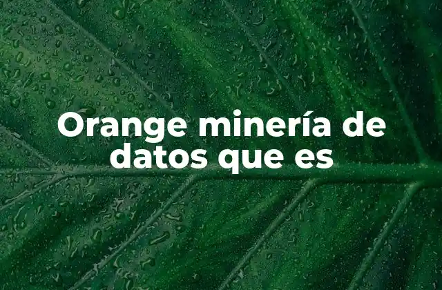 Orange Minería de Datos que es