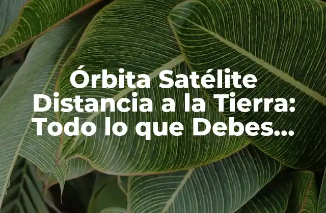 ¿Qué es la Órbita de un Satélite?