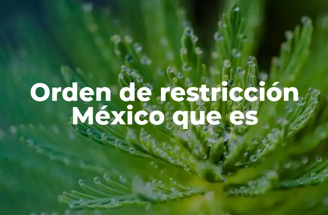 Orden de Restricción México que es