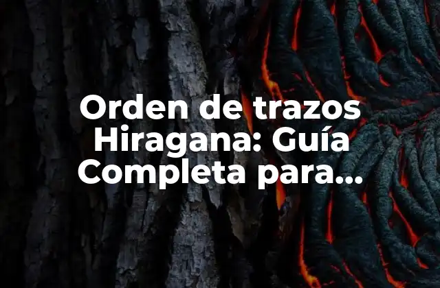 Orden de Trazos Hiragana: Guía Completa para Dominar el Alfabeto Japonés