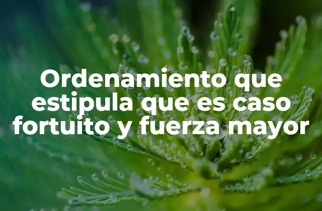 Ordenamiento que Estipula que es Caso Fortuito y Fuerza Mayor