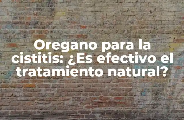 Oregano para la Cistitis: ¿es Efectivo el Tratamiento Natural?