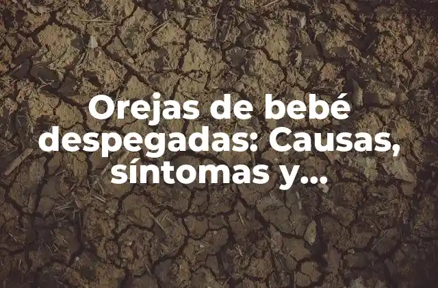 Orejas de Bebé Despegadas: Causas, Síntomas y Tratamientos