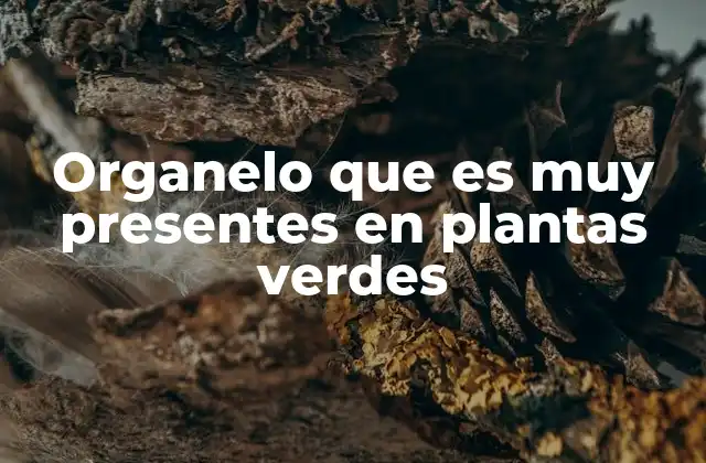 Organelo que es Muy Presentes en Plantas Verdes