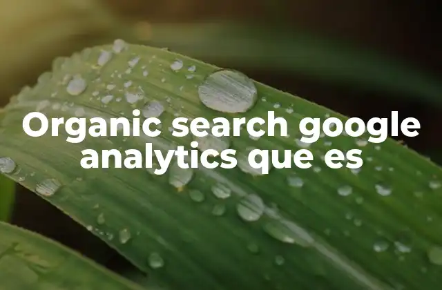 Organic Search Google Analytics que es
