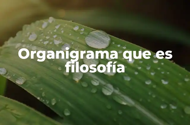 Organigrama que es Filosofía