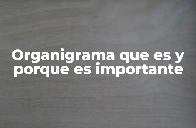 Organigrama que es y Porque es Importante
