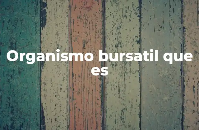 Organismo Bursatil que es