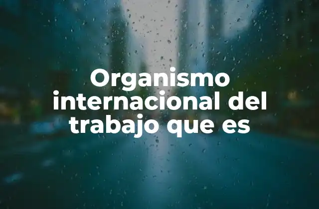 Organismo Internacional Del Trabajo que es