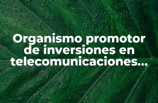 Organismo Promotor de Inversiones en Telecomunicaciones que es