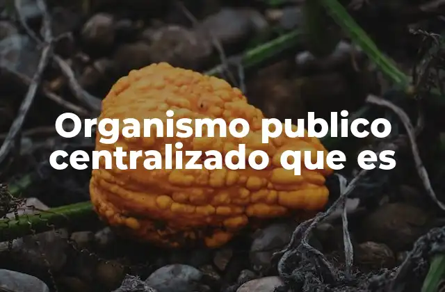 Organismo Publico Centralizado que es