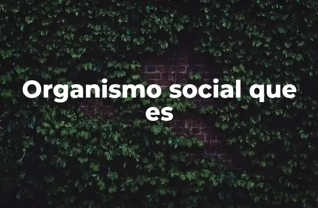 Organismo Social que es
