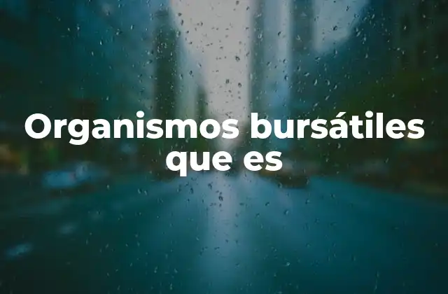 Organismos Bursátiles que es
