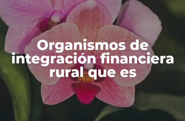Organismos de Integración Financiera Rural que es