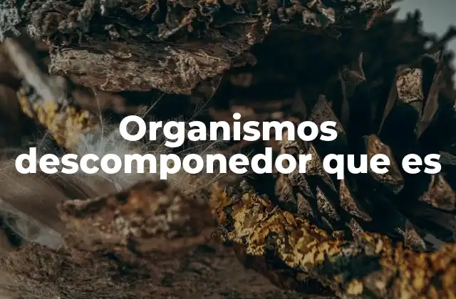 Organismos Descomponedor que es