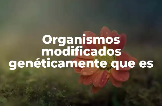 Organismos Modificados Genéticamente que es