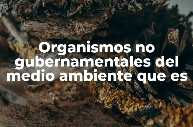 Organismos No Gubernamentales Del Medio Ambiente que es
