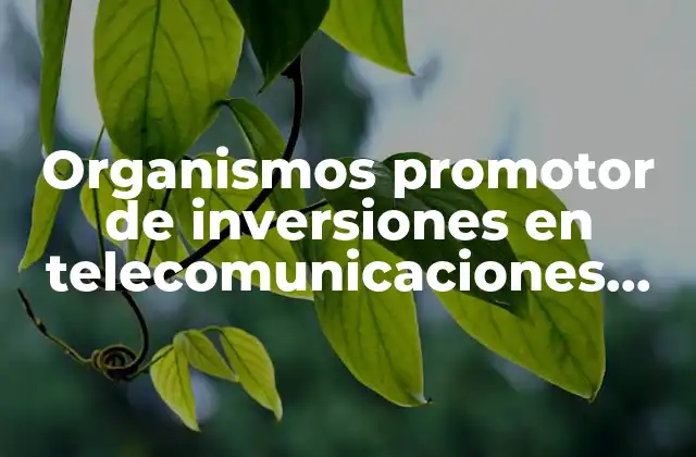 Organismos Promotor de Inversiones en Telecomunicaciones que es