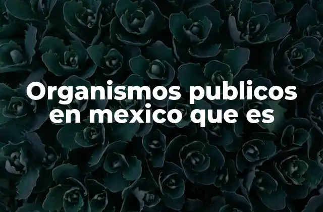 Organismos Publicos en Mexico que es