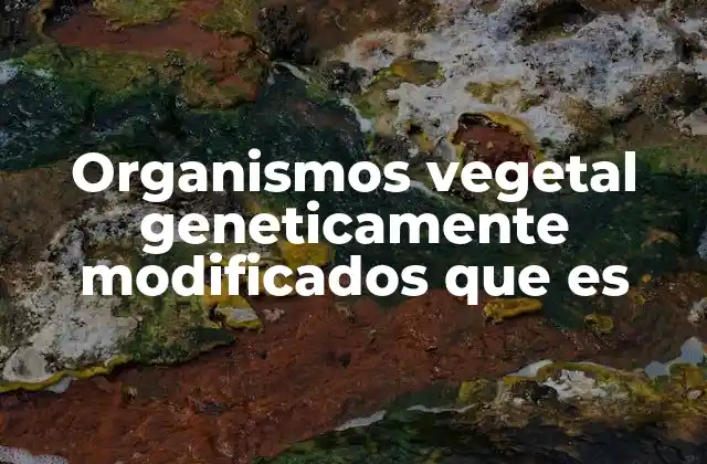 Organismos Vegetal Geneticamente Modificados que es