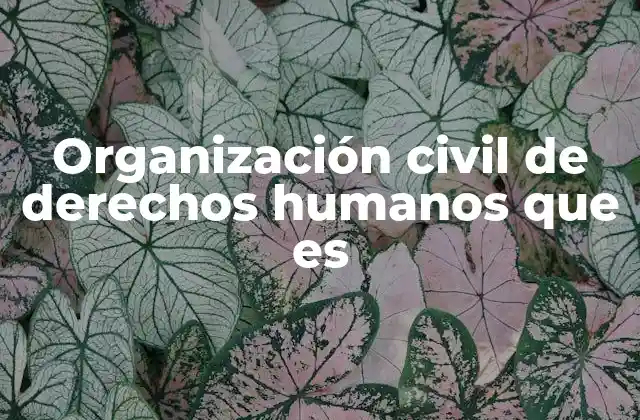 Organización Civil de Derechos Humanos que es