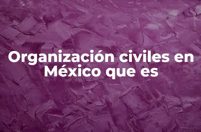 Organización Civiles en México que es
