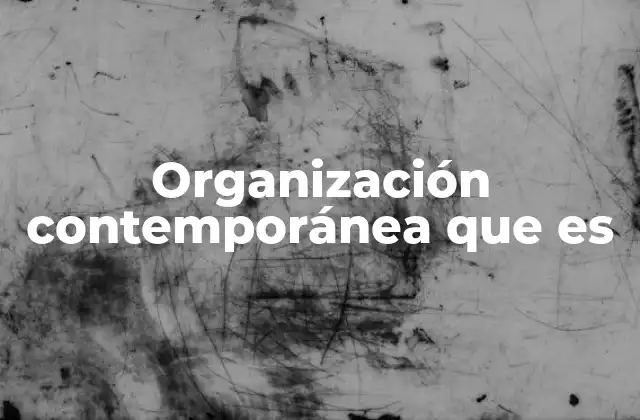 Organización Contemporánea que es